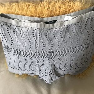 Adorable lace JCrew Shorts S 6